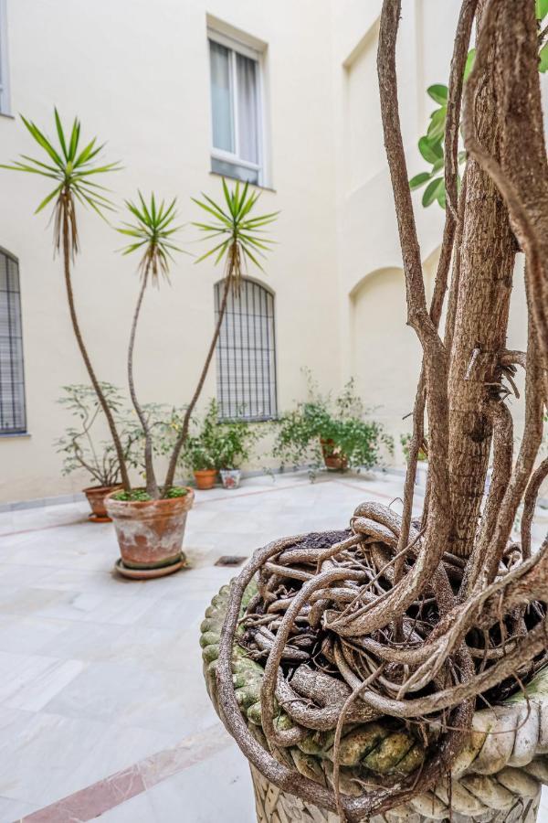 Chic&Luminoso-Wifiac/Elegant Apt In Salvador 2 Br Sevilla Dış mekan fotoğraf